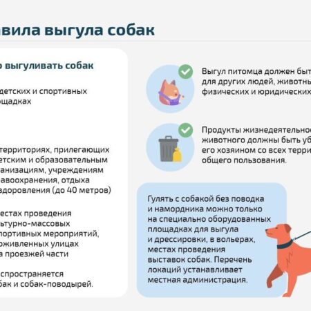Краснодарский край ужесточил правила выгула собак
