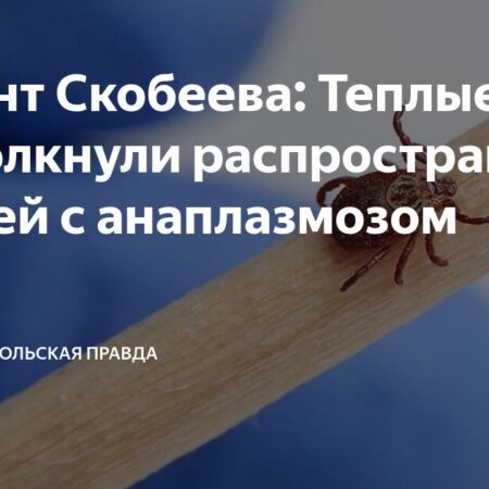 Мягкие зимы в РФ спровоцировали распространение клещей-переносчиков анаплазмоза
