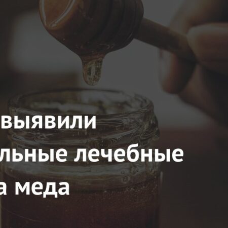 Ученые выявили удивительные лечебные свойства меда