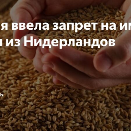 В России введен запрет на импорт семян из Нидерландов