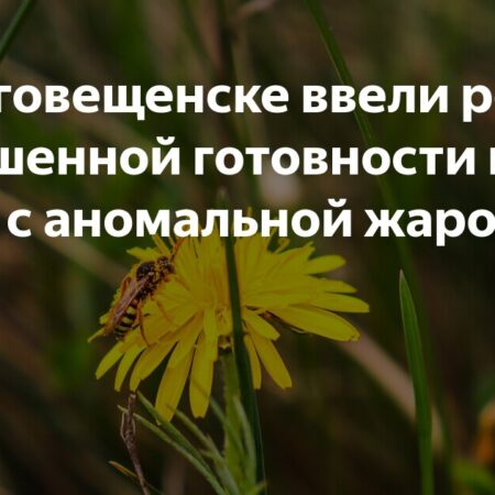 В Благовещенске введен режим повышенной готовности из-за аномальной жары