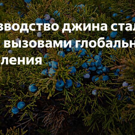 Климатические изменения и их влияние на будущее джина