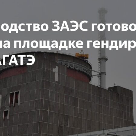 Директор ЗАЭС: Готовы принять главу МАГАТЭ Гросси в любое время