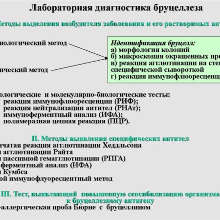 Новый метод диагностики бруцеллеза от московских ученых