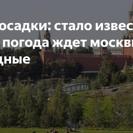 Какой будет погода в выходные?