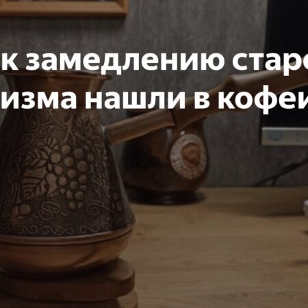 Найден ключ к замедлению старения организма