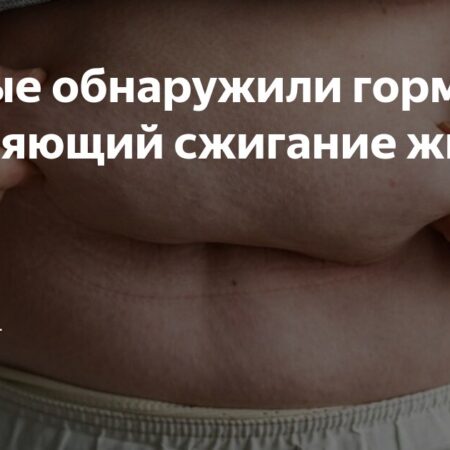 Ученые Обнаружили Природный Активатор Сжигания Жира