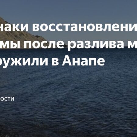 Экологические исследования: Черное море демонстрирует признаки восстановления после разлива мазута