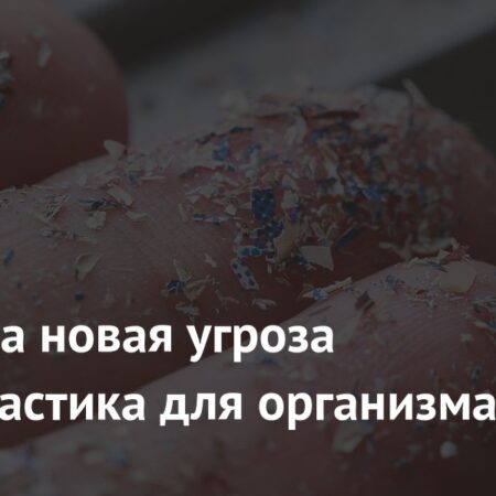 Микропластик: Обнаружена новая опасность для клеток легких