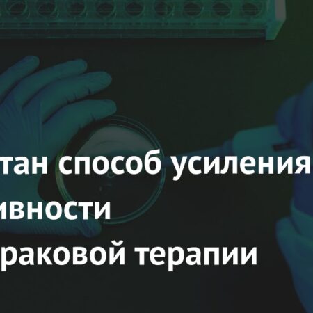 Кишечные бактерии Hominenteromicrobium YB328 значительно усиливают эффективность противораковой иммунотерапии