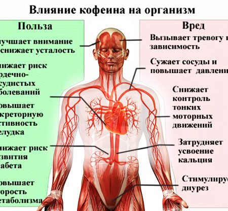 Раскрыта неожиданная польза кофеина в борьбе со стрессовой депрессией
