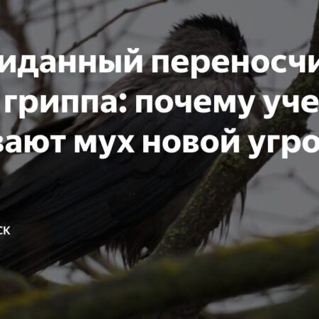 Мухи как потенциальный фактор распространения птичьего гриппа H5N1