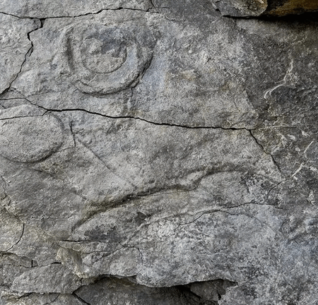 Уникальные следы доисторических организмов найдены на Урале