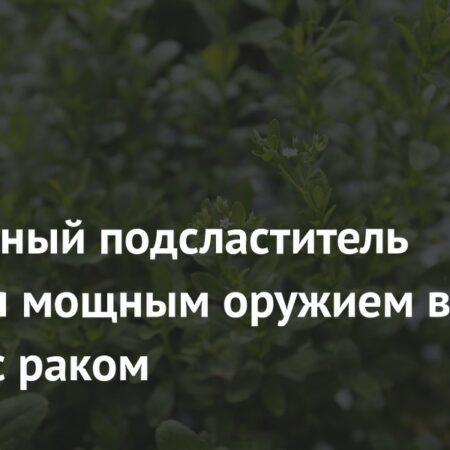 Ферментированная стевия: новое оружие в борьбе с раком