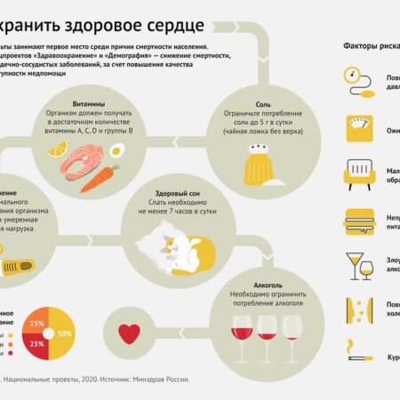 Простой путь к здоровым сосудам: исследование подтверждает