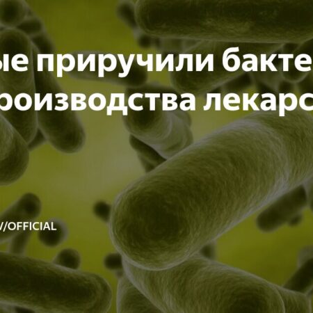 Ученые обуздали бактерии для создания лекарств