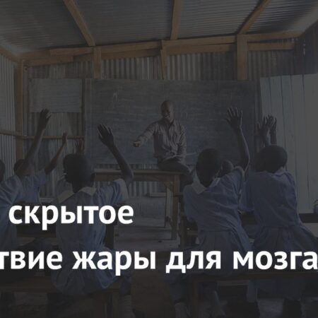 Жара и мозг: скрытые последствия для детского обучения