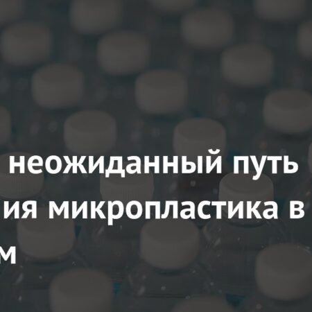 Неожиданный Путь Микропластика в Организм: Угроза из Домашнего Воздуха