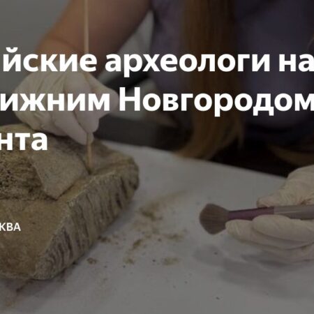 Удивительная находка в Нижнем Новгороде: обнаружен зуб мамонта