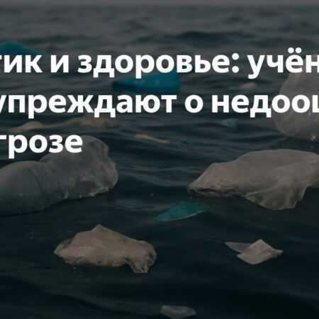 Пластиковое Загрязнение: Недооцененная Угроза Здоровью Человека