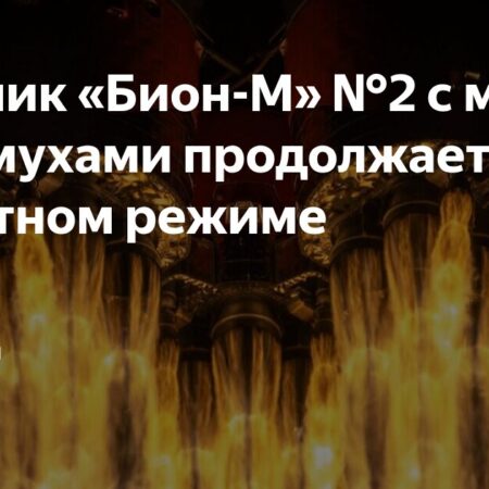 “Роскосмос”: полет “Биона-М” с 75 мышами и 1,5 тысячи мух проходит штатно