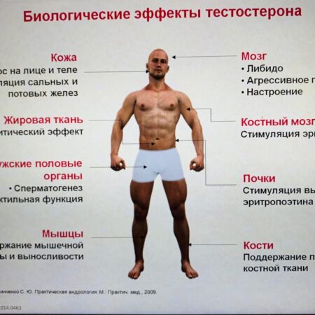 Влияние COVID-19 на мужское здоровье: снижение уровня тестостерона