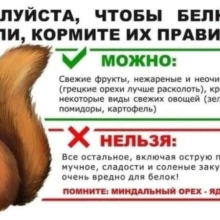 Развенчан популярный миф: Животный белок не вредит здоровью, а возможно, даже защищает от рака