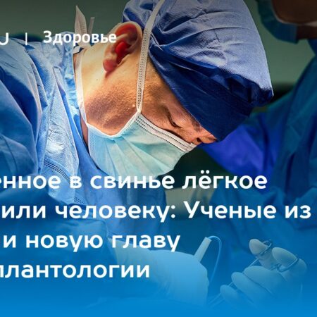 Успешная ксенотрансплантация: Человеку впервые пересадили легкое свиньи