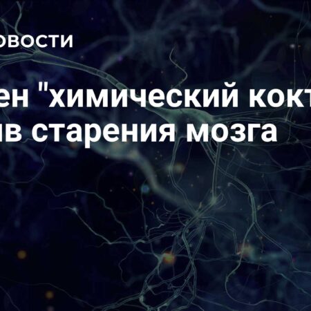 Разработан “химический коктейль” для замедления старения мозга