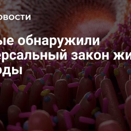 Открытие универсального закона организации живых тканей