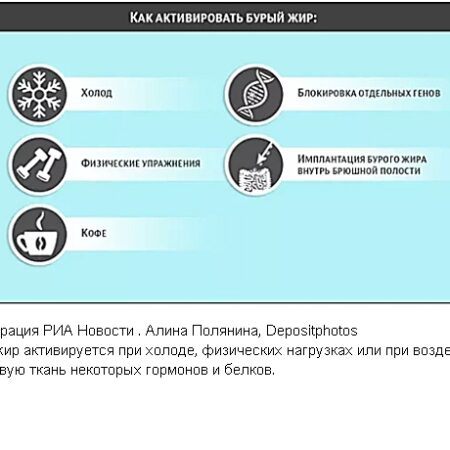 Прорыв в борьбе с ожирением: активизация бурого жира через нейритин-1