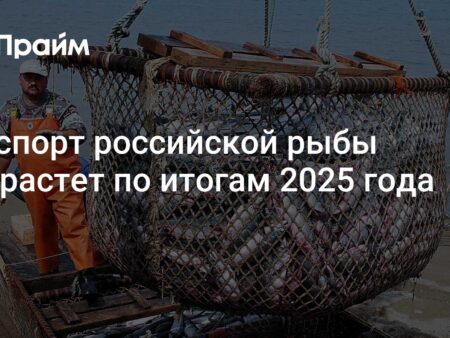 Значительный рост экспорта российской рыбной продукции в 2025 году