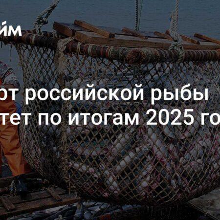Значительный рост экспорта российской рыбной продукции в 2025 году