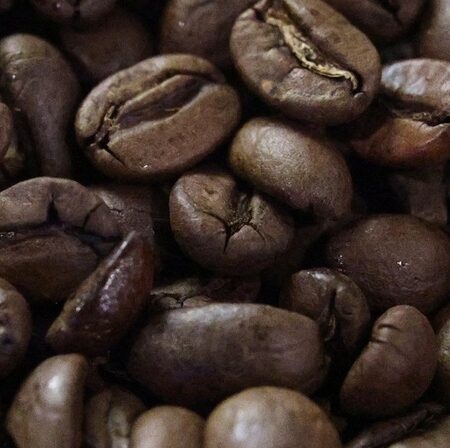 Лаос планирует поставлять кофе в Россию вместо США из-за американских пошлин