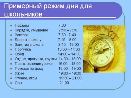Идеальный распорядок дня: как помочь школьнику организовать свое время