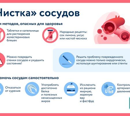 Назван простой способ поддерживать здоровье сосудов без лекарств