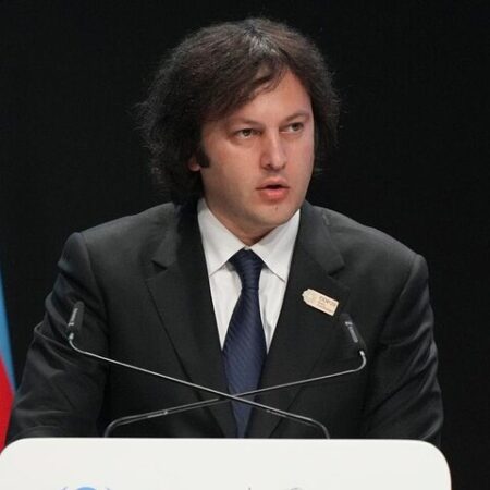 Глава правительства Грузии назвал новые причины массовых протестов