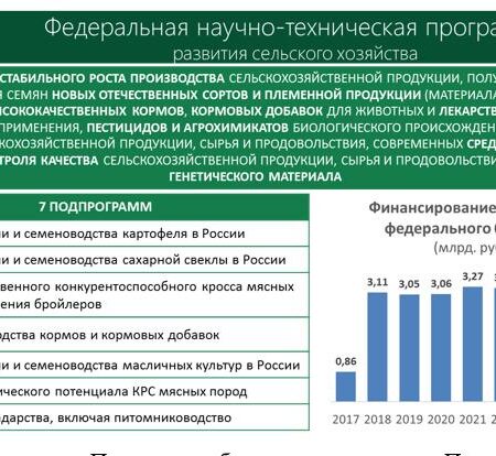Кадровый отток в агропромышленном комплексе России: вызов для развития