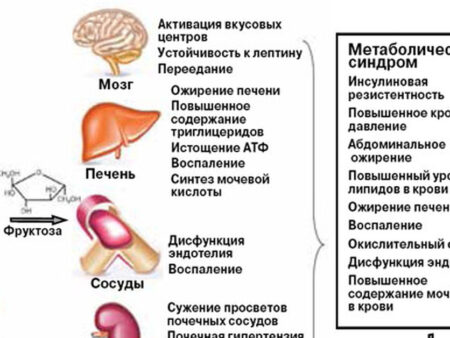 Открыта неожиданная причина ожирения печени и диабета
