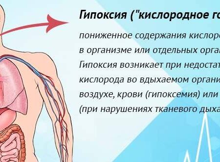 Как недостаток кислорода подрывает наш иммунитет на генном уровне