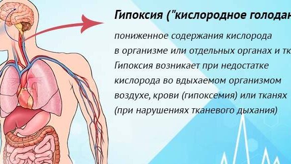 Как недостаток кислорода подрывает наш иммунитет на генном уровне