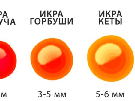 Взлет популярности «белой» икры: продажи выросли на 28%, а красная икра теряет позиции