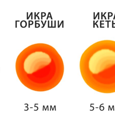 Взлет популярности «белой» икры: продажи выросли на 28%, а красная икра теряет позиции