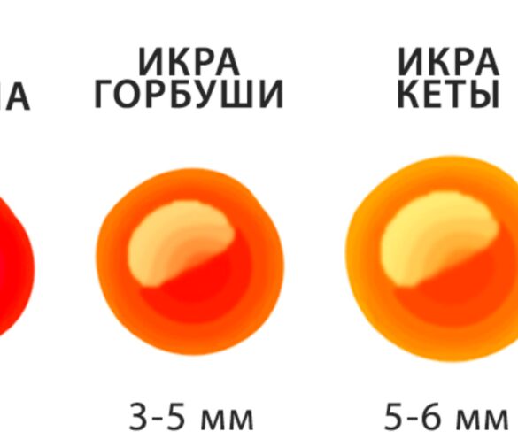 Взлет популярности «белой» икры: продажи выросли на 28%, а красная икра теряет позиции