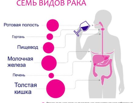 Алкоголь и онкология: как даже малые дозы повышают риск развития рака