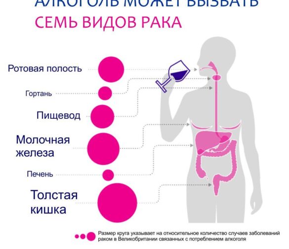 Алкоголь и онкология: как даже малые дозы повышают риск развития рака