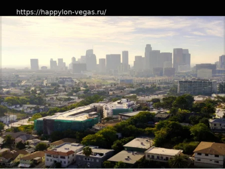 Замедление Иммиграции Затронуло Каждую Метрополию США, Показывает Перепись