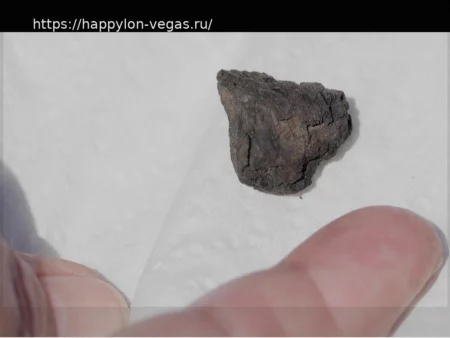 В Огайо началась охота за метеоритом: по следам космического пришельца