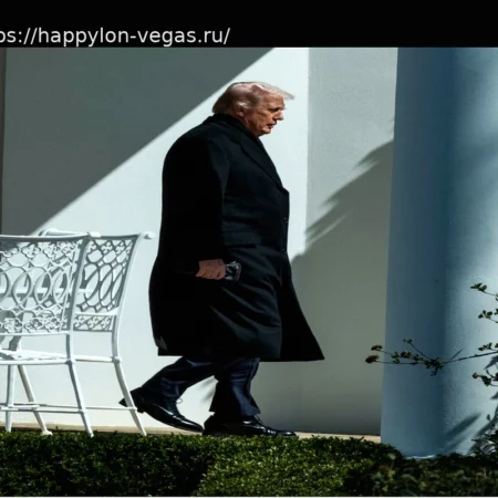 Европейцы недовольны Трампом, но зачастую снисходительны к американцам