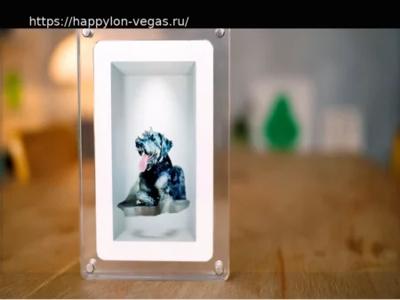 Эта цифровая фоторамка стремится приблизить людей к голографическому будущему